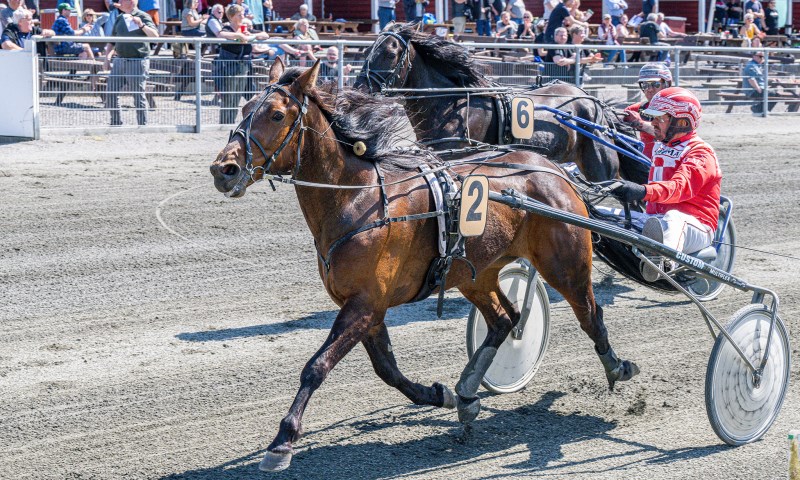 Hussar med Ole M ller Bornholms Brand Park 13 maj 2023 Fotograf Torben Ager Travfoto Bornholm TKA 4223