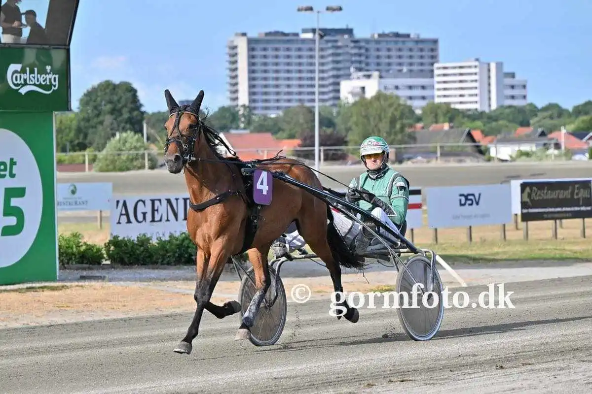 Salgsmenuen i dag IMG_4501