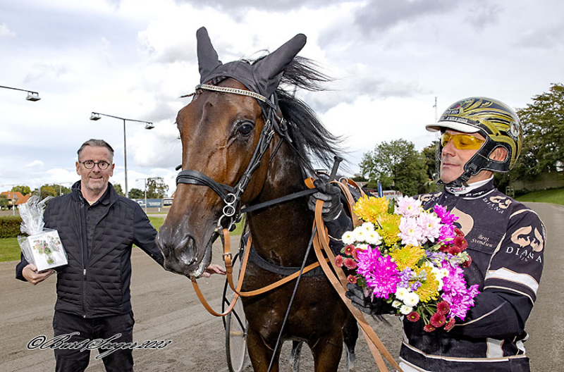 Skive Folkeblad - Hesteejer undsiger Bent Svendsen JUST_HANS_D2I0081