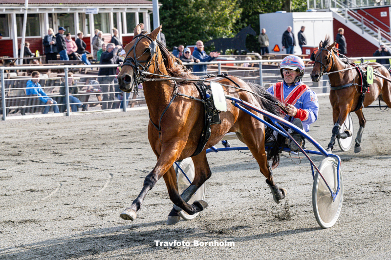 Sunbee med Kenn Christoffersen Bornholms Brand Park 30 september 2023 Fotograf Torben Ager Travfoto Bornholm TKA 0146