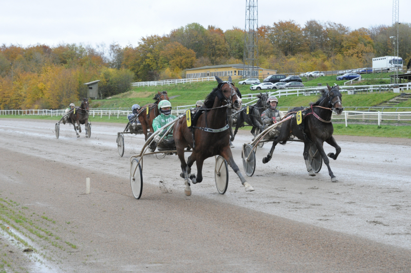 Jydsk Væddeløbsbane - Sådan er det gået Twin Peak