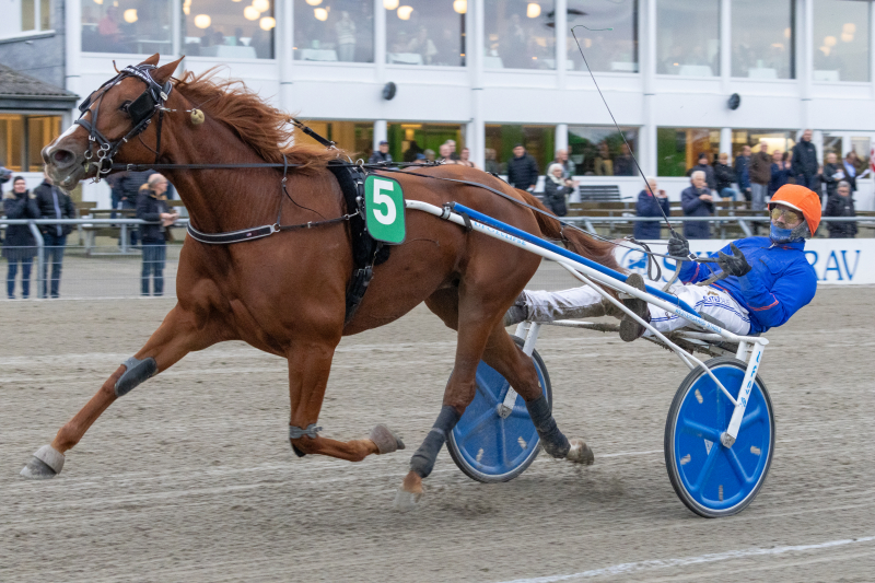 Bjerke - Sådan starter danskerne HALL_JSA_VANG_2