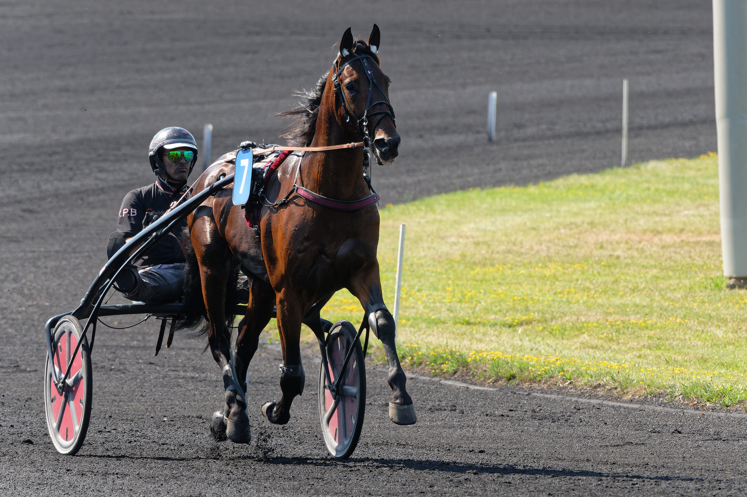 UET Elite Circuit Finale – Opvisning af Hohneck _JLL437020230625164951