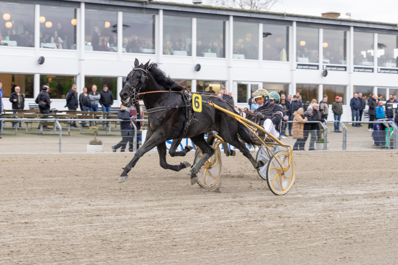 Sådan gik det i Skive KONG_HANS