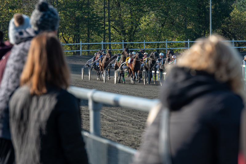 De gør det godt på Bornholm Publikum_10_oktober_2021_Fotograf_Torben_Ager_Travfoto_Bornholm_TKA_4151 (1)