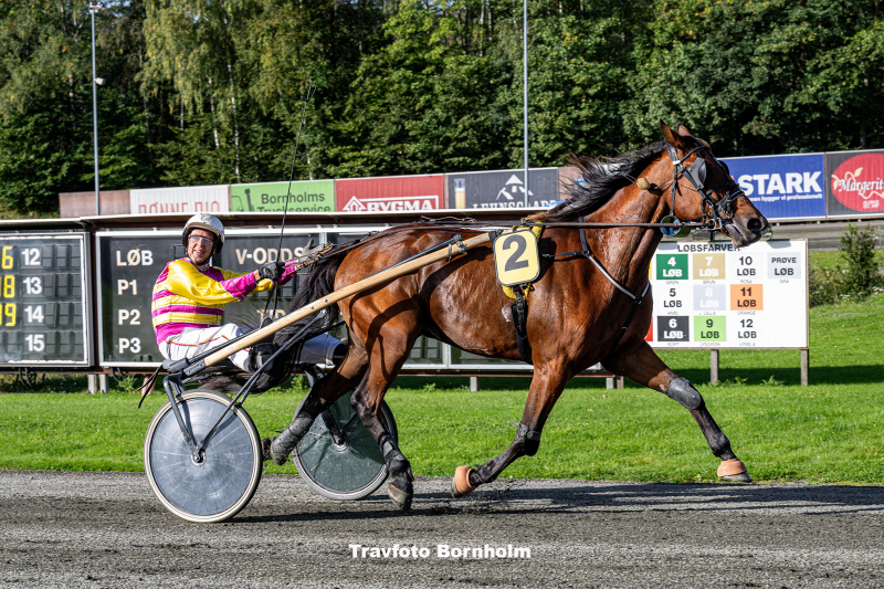 So_Tough_med_Ole_Bager_Bornholms_Brand_Park_7_oktober_2023_Fotograf_Torben_Ager_Travfoto_Bornholm_TKA_0406