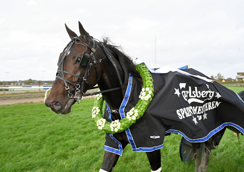 Åby – Sådan starter danskerne THEWINNERTAKEITALL_DSC_3583 (1)