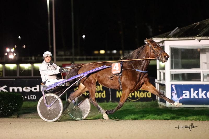 Fremragende styringer af Friborg Gåsen