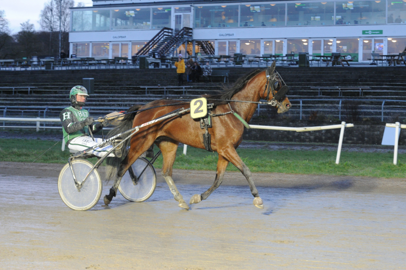 Mads Hviid indledte i Aarhus DSC_2335