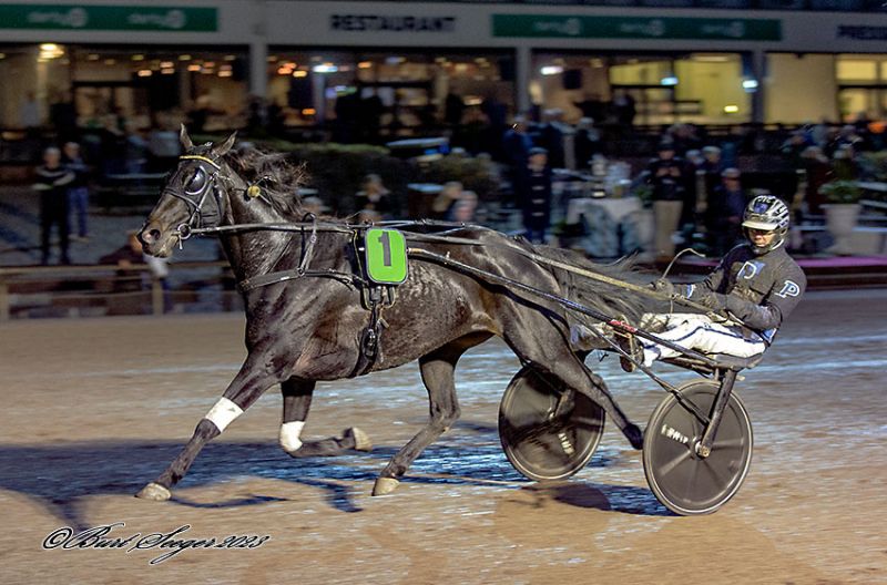 Four Guys Dream vandt N. J. Koster Memorial 2023 FourGuysDream1
