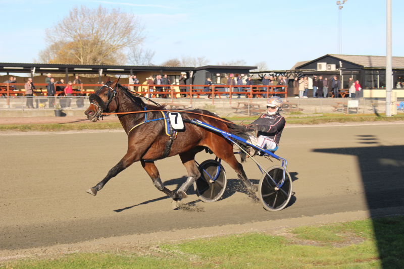 Harald Lunds Mindeløb til Henrik Will Henrik_Will_231118