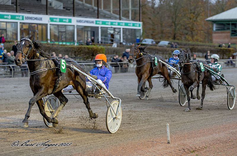 Kort nyt IzabellaNordic