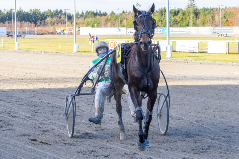 Fem andenpladser i fem starter i år inverness_downs_3
