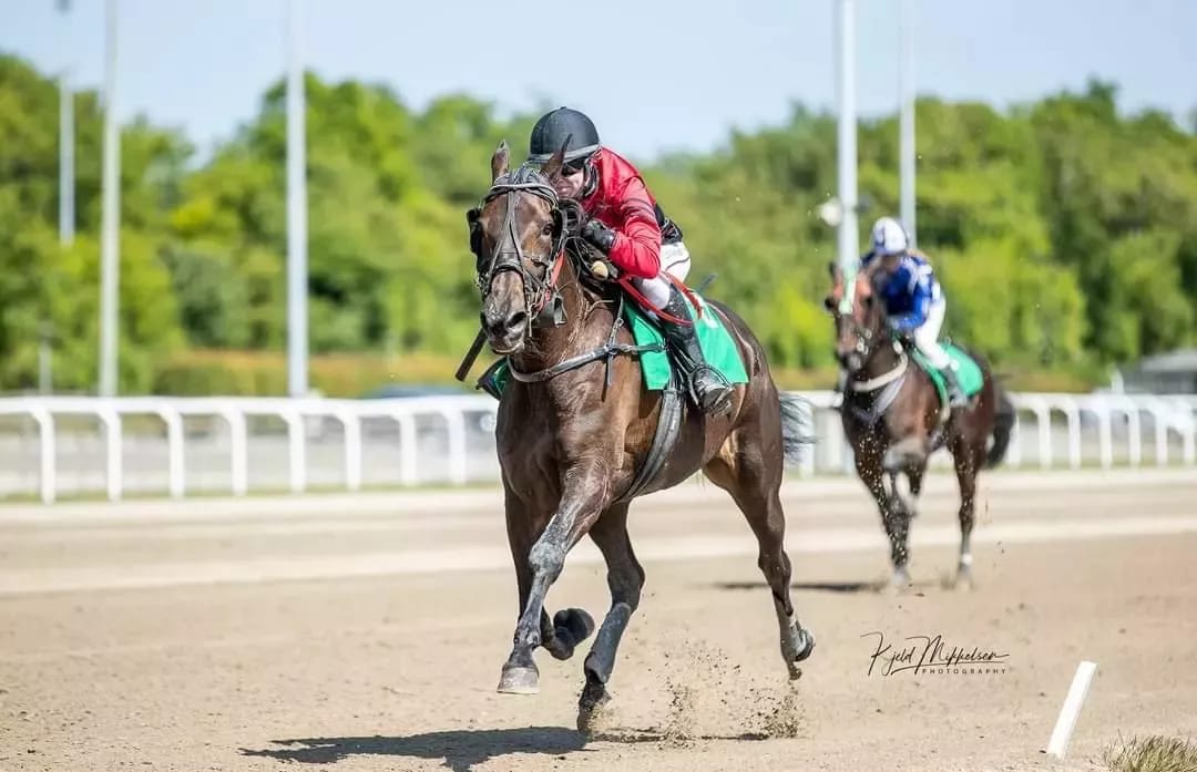 Camilla Munk Boeck til Bornholm 347435038_1209533713087160_1229127177361549538_n