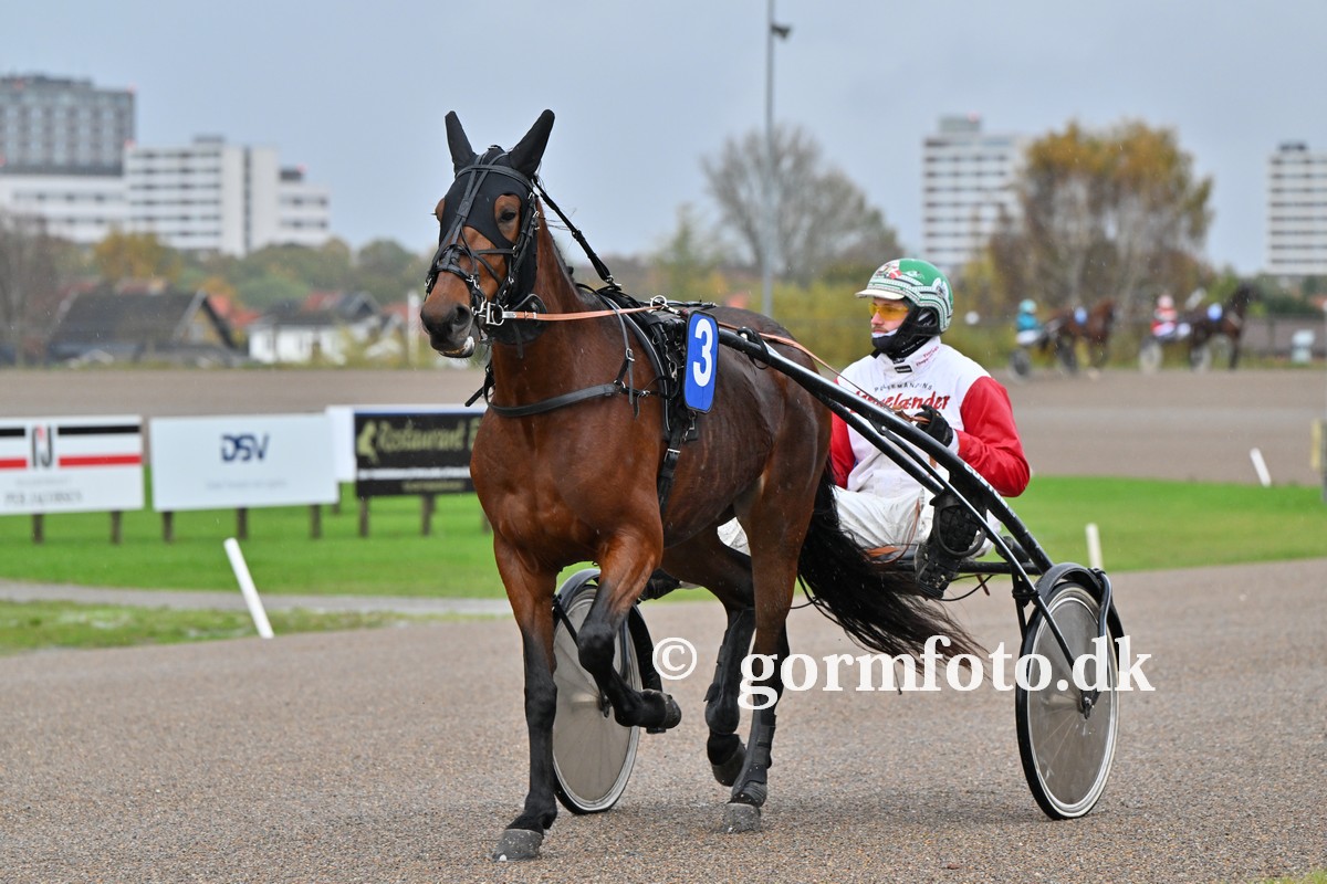 Kort nyt 396548665_296754709860536_957354722695259822_n