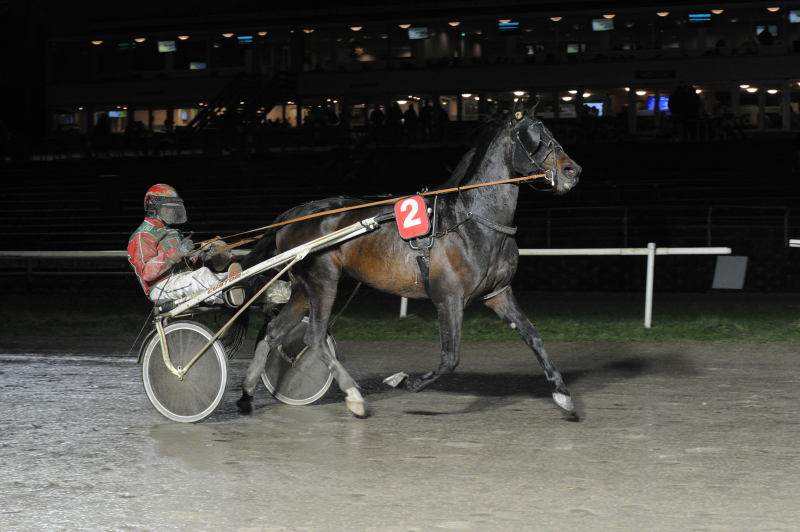 Kristine sender Florican Rold ud Florican Rold