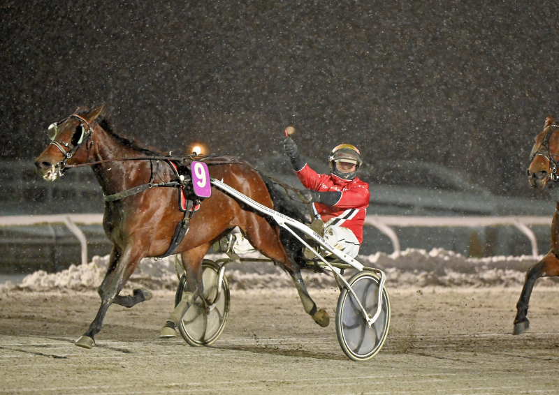 FARINELLI HASTRUP DSC 5814