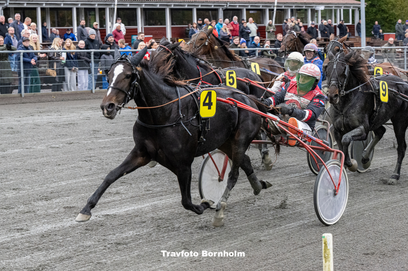 Patricia Bo med John Gommans Bornholms Brand Park 21 oktober 2023 Fotograf Torben Ager Travfoto Bornholm TKA 1642