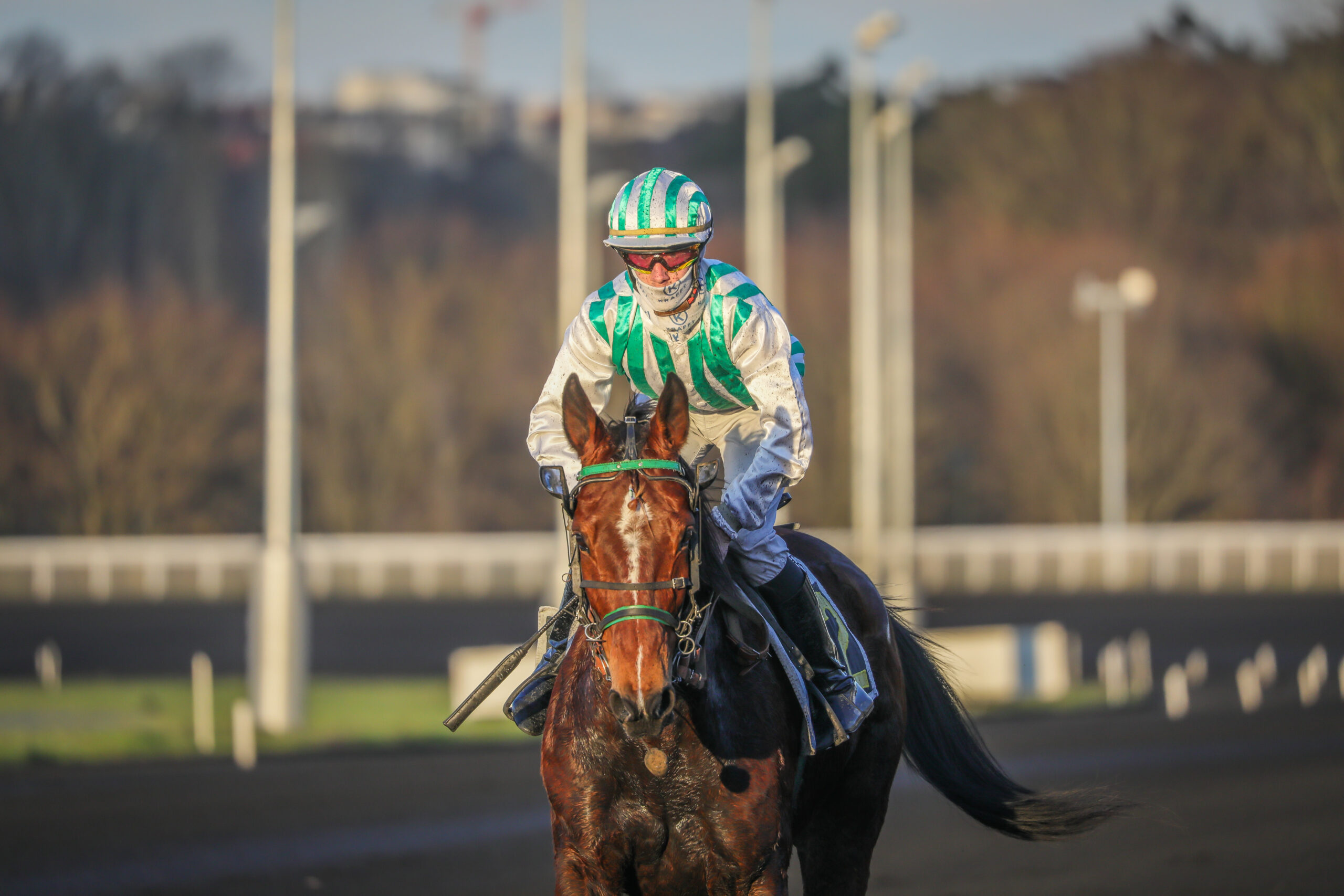 Esperanza Idole vandt Prix de Cornulier Vincennes-26-02-2023