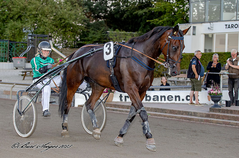 Salgsmenuen årets 10 salg en realitet GURLI_MGL3086