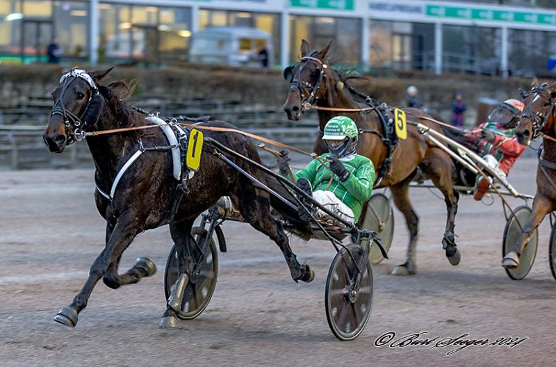 Charlottenlund - Sådan gik det HAVANA_BEACH_MGL7214