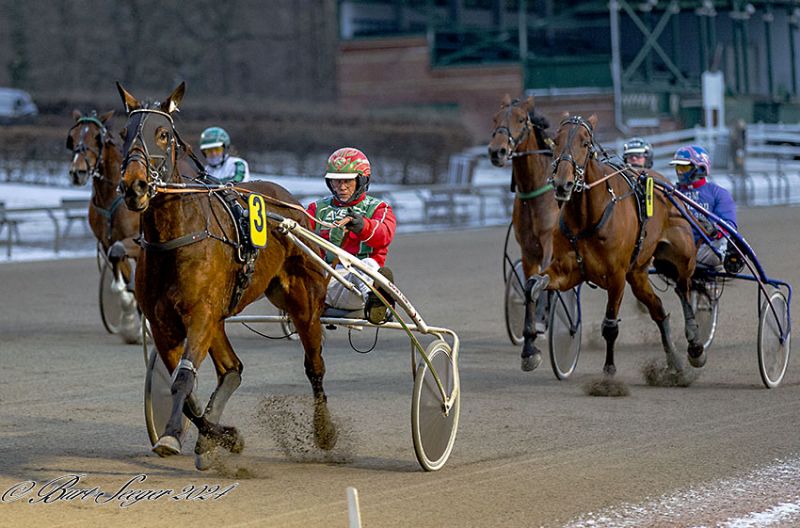 Kort nyt LiviPasadenaHM