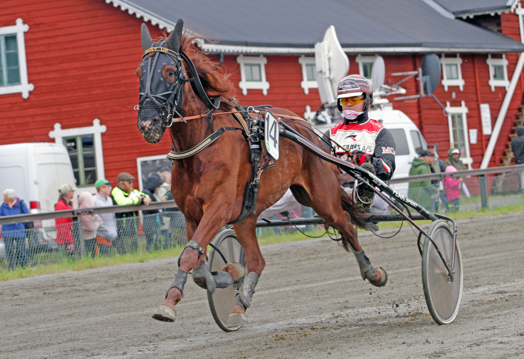 MaltheArp 2048x1404 1