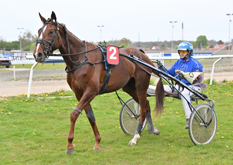 Det kan blive en fantastisk aften i dag Moni_Talks_NZ9_4469