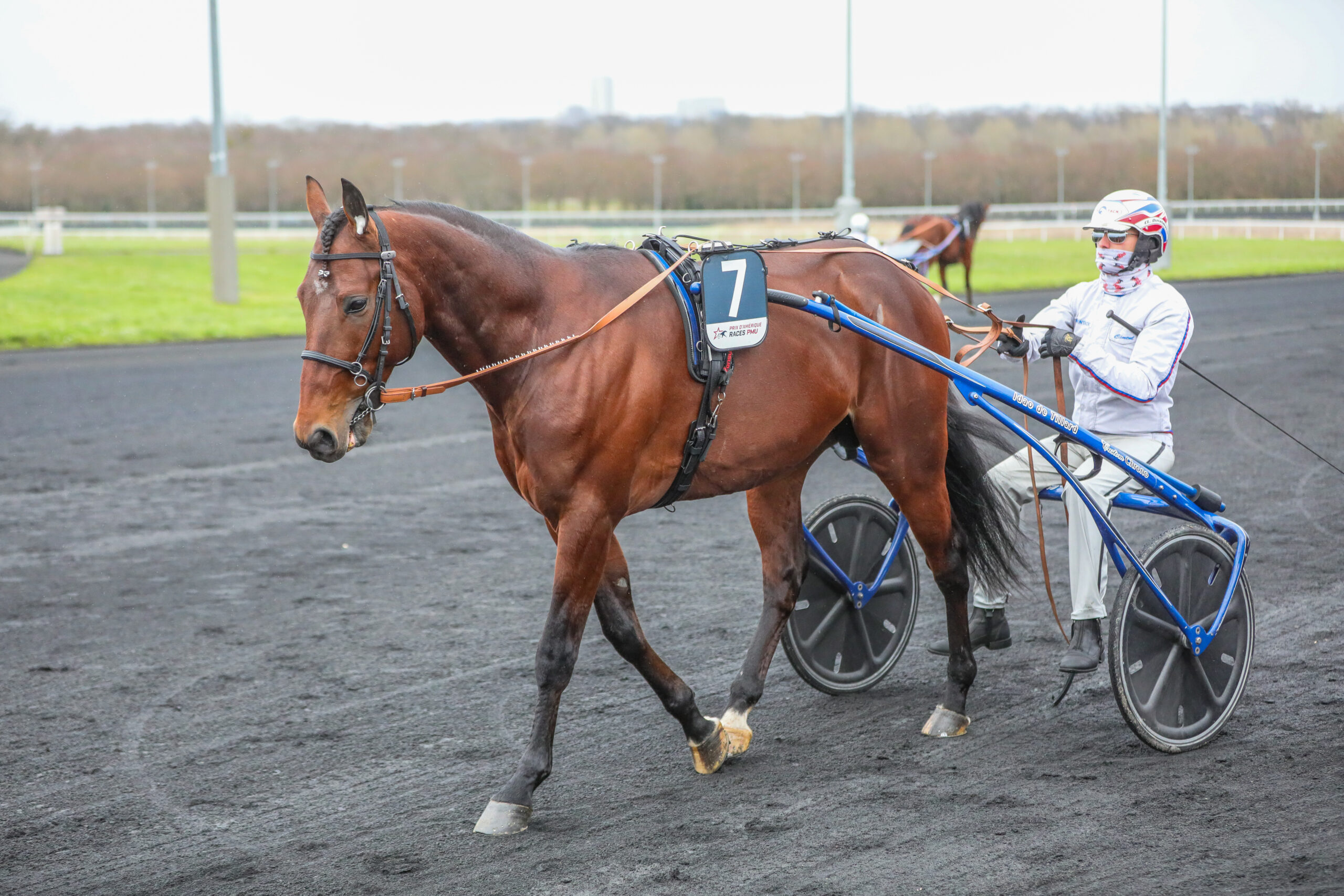 Elitloppet – Idao De Tillard inviteret Vincennes-11-02-2024