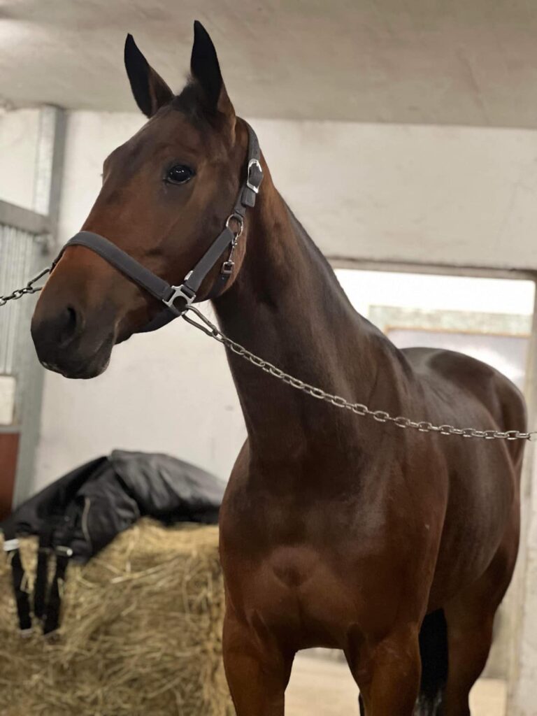 406286121 844783507651039 8434044101436305688 n