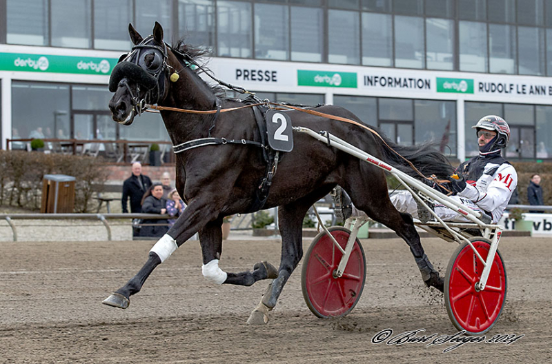 Sådan gik det danskerne på Jägersro BLACK_MOUNTAIN_MGL7733