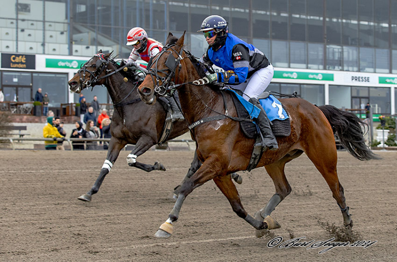 ELMAR SHADOW MGL7827