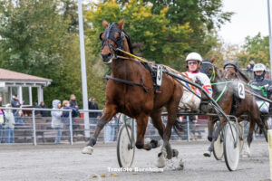 Indus Dragon med Ronnie Fyhr Bornholms Brand Park 21 oktober 2023 Fotograf Torben Ager Travfoto Bornholm TKA 1833