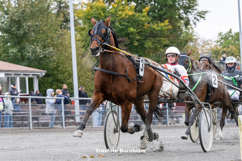 Indus_Dragon_med_Ronnie_Fyhr_Bornholms_Brand_Park_21_oktober_2023_Fotograf_Torben_Ager_Travfoto_Bornholm_TKA_1833