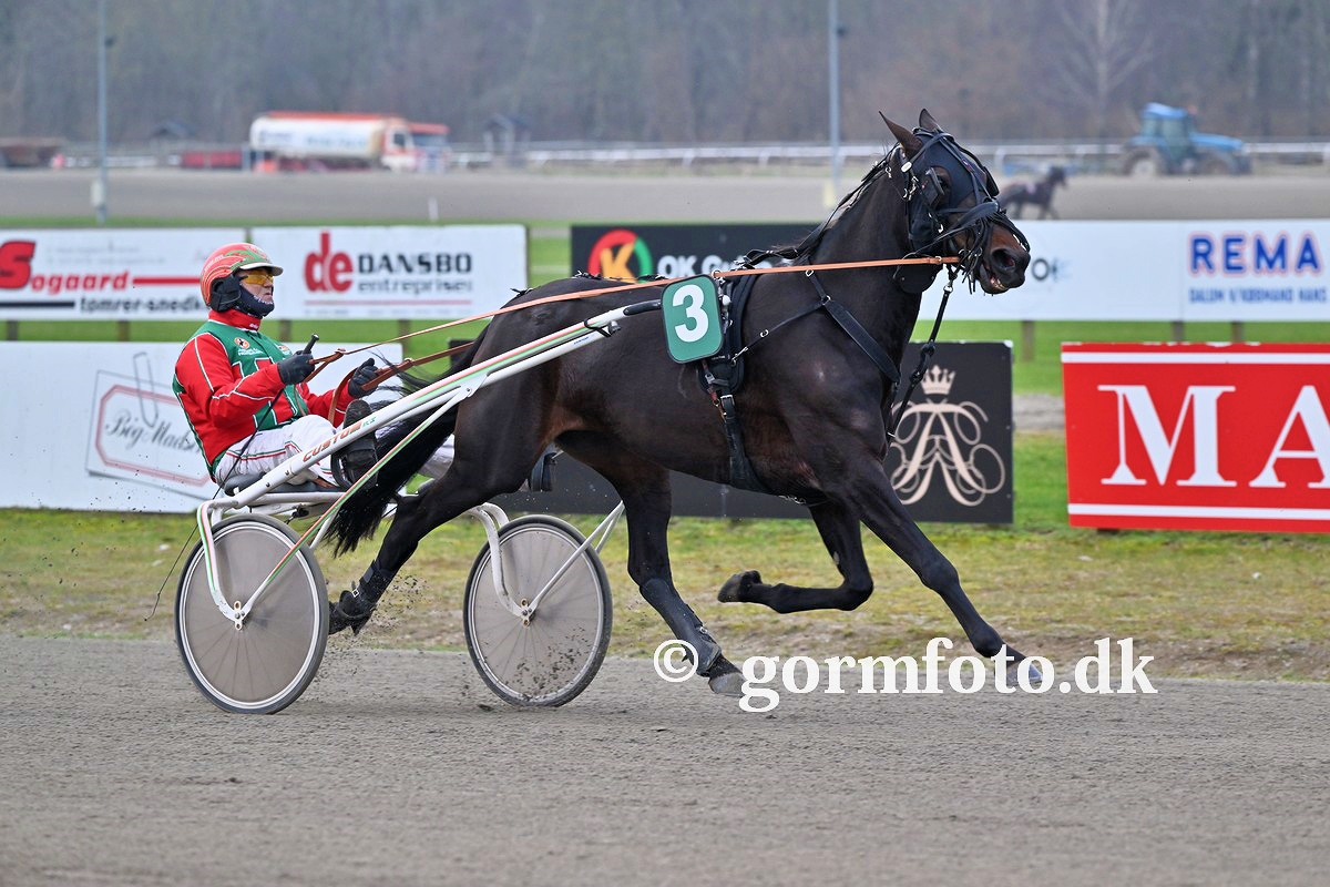 Salgshest i kamp om 60.000 SEK 429925810_366650702870936_21445965210935618_n