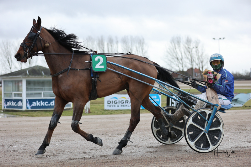 Fransk 5-åring med sejr i forrige start 895A1618