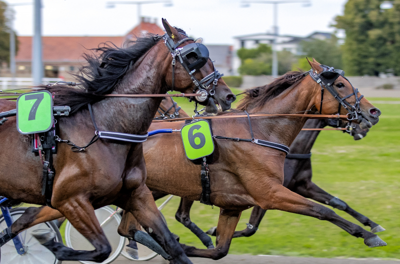 Peter Stenå – Der er slettet en del heste Autostart_20220923_S2_7279
