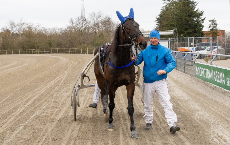 Vinderhest med historisk betydning hillsborugh_2