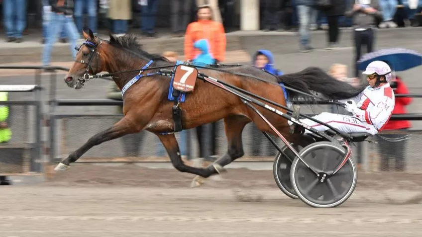 Dansk toptraver mod comeback 418861183d91f