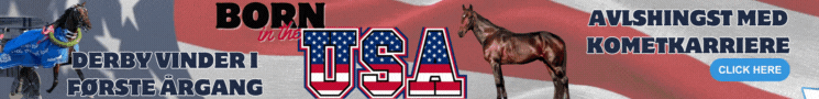 BornInTheUSA