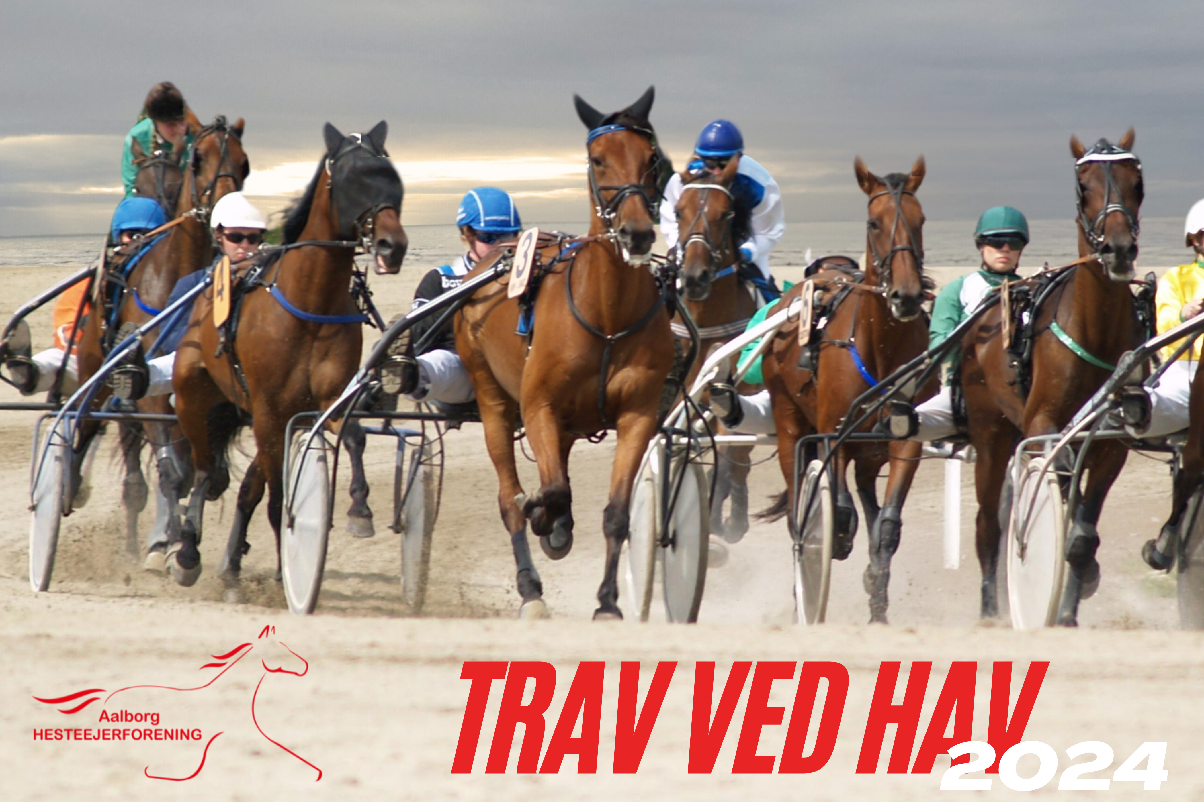 Trav ved hav: Oplev en hestblæsende dag på Blokhus Strand Cover