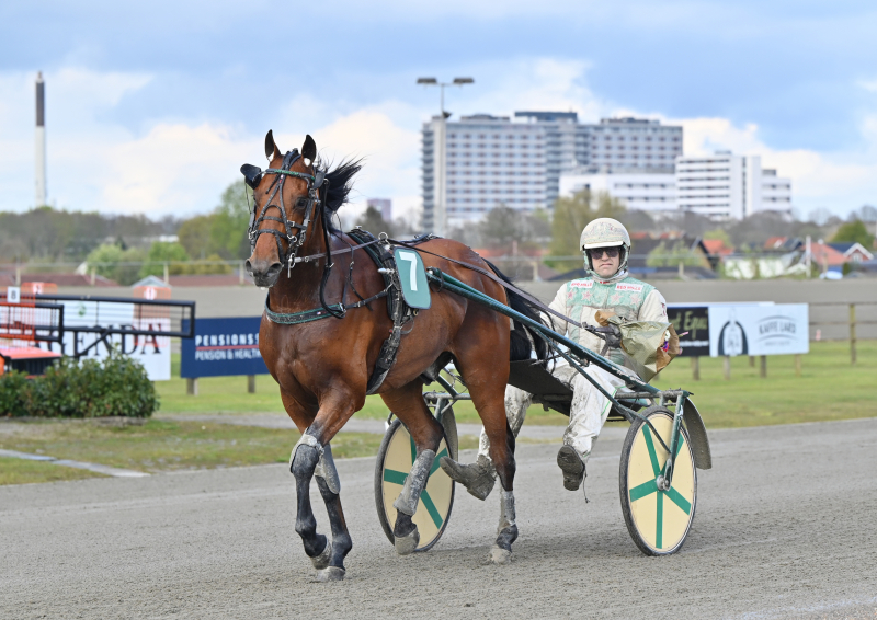 HERE S JOHNNY DSC 2161