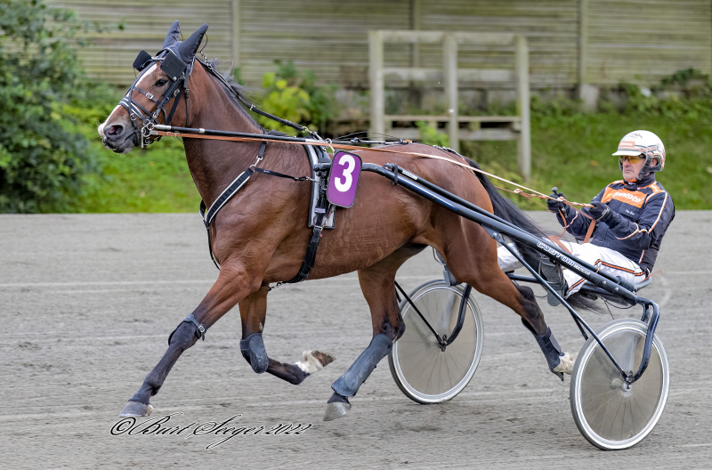 HETI S2 7081 T
