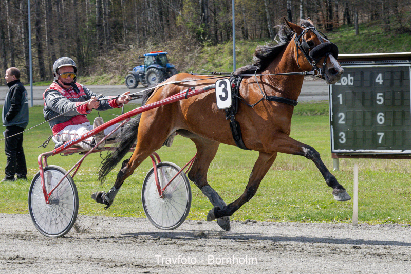 Hejdi Hovmand med Stefan Lind Holm 21 april 2024 Fotograf Torben Ager Travfoto Bornholm TKA 7756