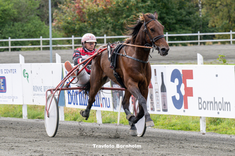 Ismael F Boko med John Gommans Bornholms Brand Park 7 oktober 2023 Fotograf Torben Ager Travfoto Bornholm TKA 0635 1