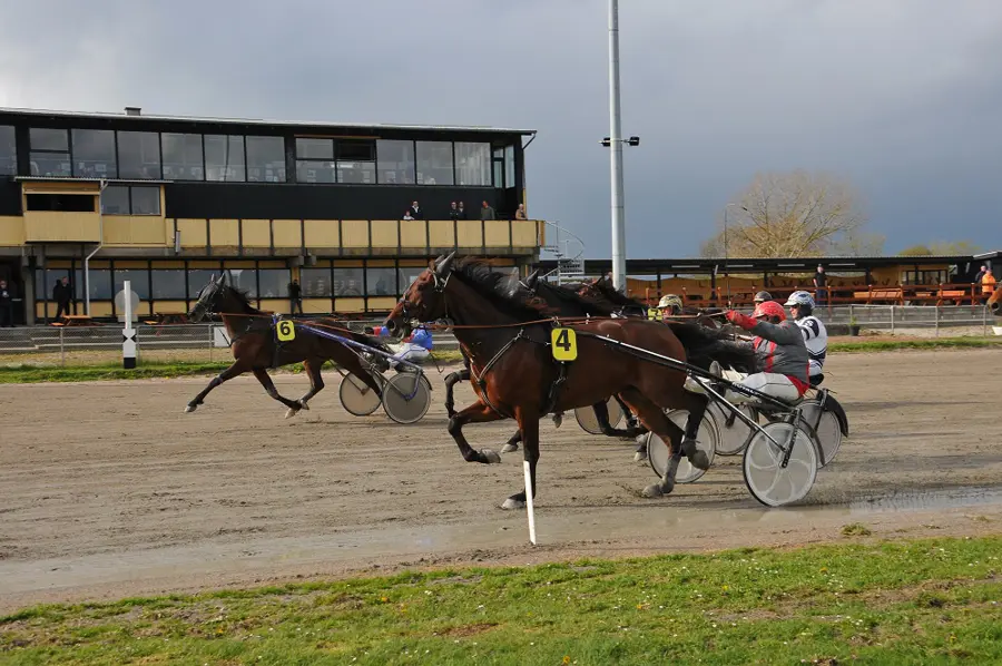 Falster - Sådan gik det jason-240418