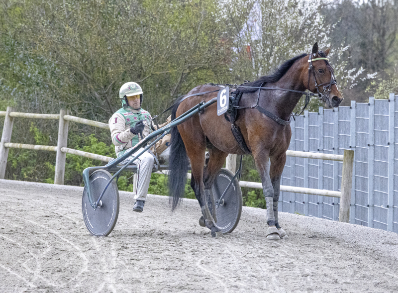 Lillebror til Garfield træder frem i rampelyset kermit_2