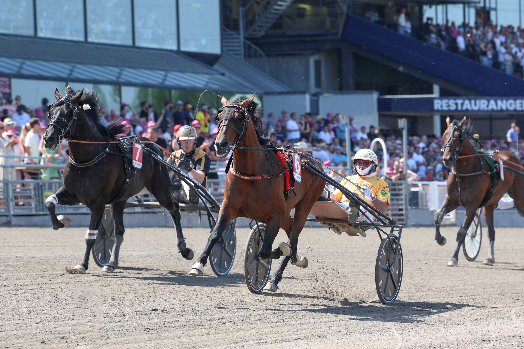 Italienske Always Ek inviteret til Elitloppet Always Ek