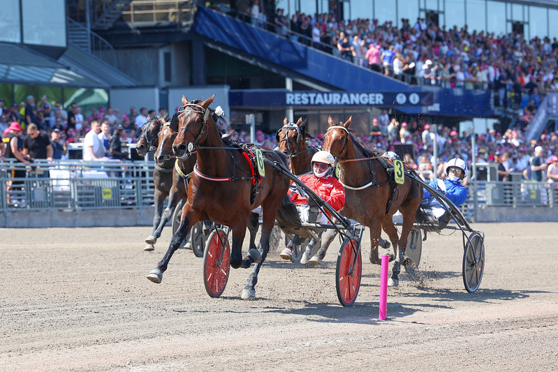 Sådan gik det på Solvalla Diamond Truppo