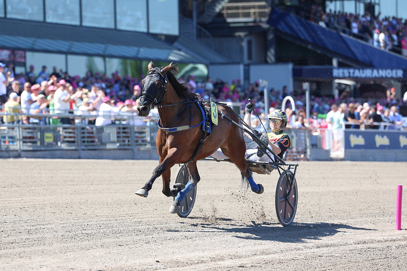 Sådan er det gået på Solvalla Krakas